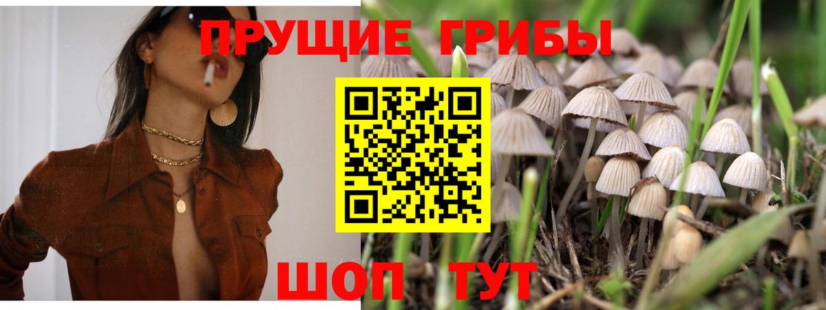 наркота  Вход с VPN  Ижевск  Галлюциногенные грибы Psilocybe 